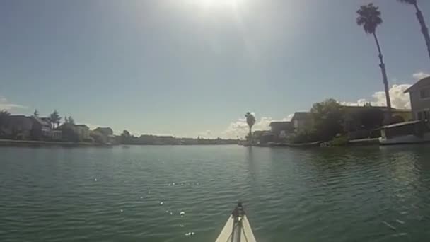 2020 Foster City Californie Kayak Dans Les Lagunes — Video