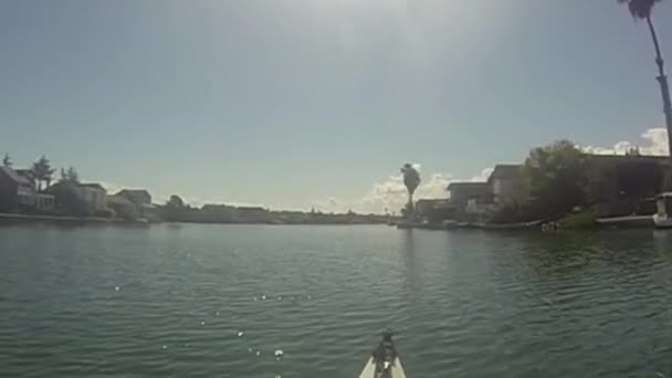 2020 Foster City Californie Lagunes Kayak Foster City Californie — Video