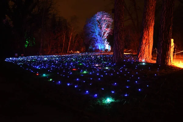 bright Illumination of park on Christmas