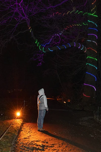 Woman Standing Park Looking Illumination — Stock Photo, Image