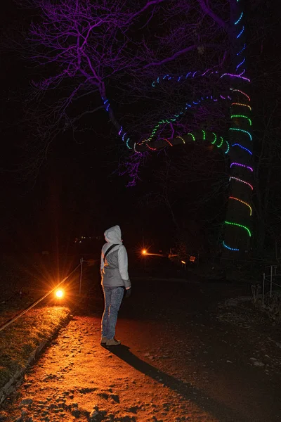 woman standing in park looking on illumination