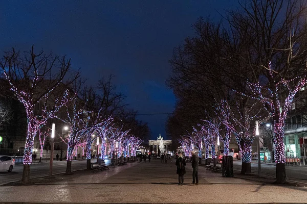 Aydınlatılmış ağaçlarla dolu bir sokak. Karanlıkta mor ışıklar parlıyor. Berlin Almanya 'da Unter den Linden Bulvarı' nın gece manzarası. Avrupa seyahati. Noel süslemeleri.