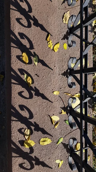 Sombras Borradas Folhagem Árvore Sombras Listradas Cerca Metal Ornamentada Antiga — Fotografia de Stock