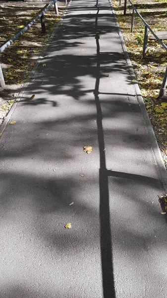 Sidewalk Park Covered Patterned Shadows Tree Leaves Railing Side Autumn — Stock Photo, Image