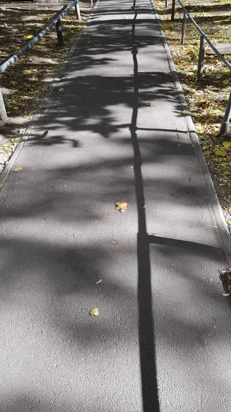 Passeggiata Nel Parco Coperto Con Ombre Modellate Foglie Albero Ringhiera — Foto Stock