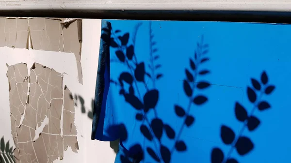 Sombras Borrosas Ramas Arbóreas Con Círculo Hojas Fondo Pared Azul —  Fotos de Stock