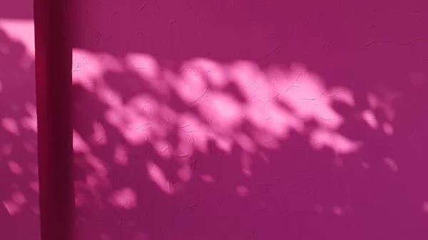 Lebendige Farbe Rosa Stuckwand Mit Laubschatten Hellem Sonnenlicht Abstrakter Hintergrund — Stockfoto