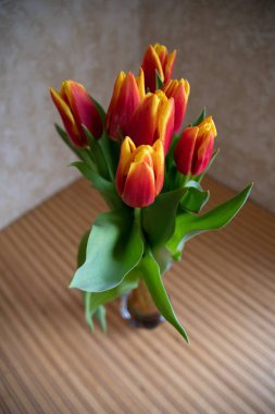 vazo görünümünde lale çiçekleri serpin