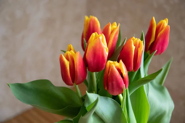Sprig Fleurs Tulipes Vase Vue Rapprochée — Photo