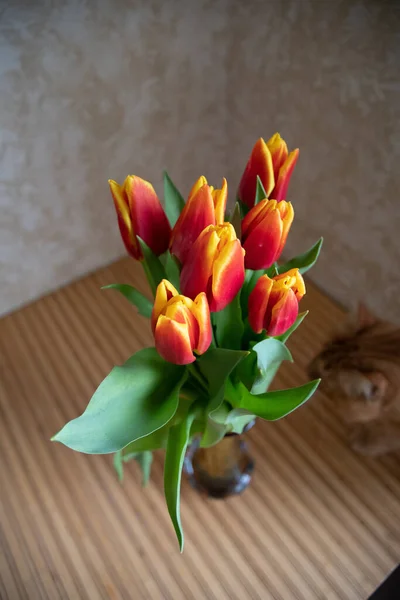 Sprig Tulip Flowers Vase Close View — Stock Photo, Image