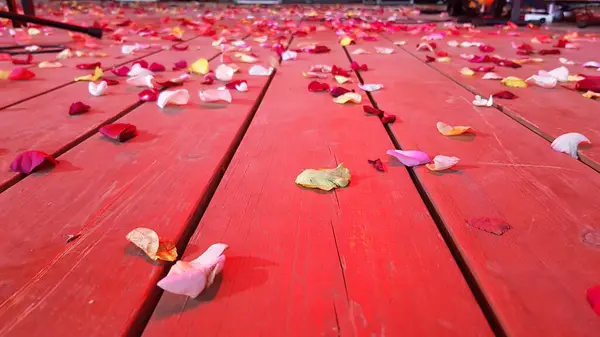Rózsaszirmok Vörös Fapadlón — Stock Fotó