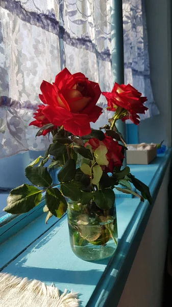 아름다운 장미가 푸른색 창문턱에 햇빛을 빈티지 커튼이 유리병에 꽃병으로 도살아 — 스톡 사진