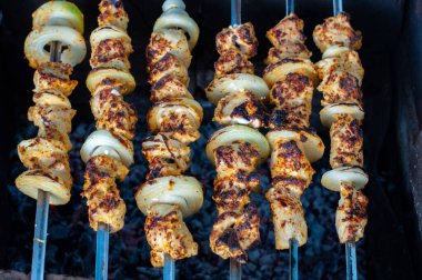 Ev yapımı tavuk şiş kebap ve taze soğan. Koyu arka planda ızgara tavuk eti şişleri. Piknik için lezzetli yemekler..