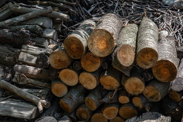 Trästapel Huggen Ved Och Kvistar Traditionellt Koncept För Bränsle Landsbygden — Stockfoto