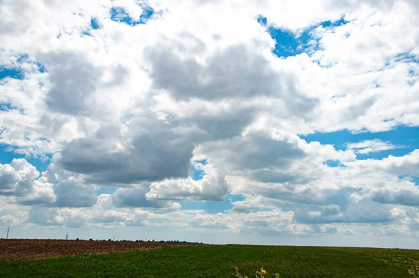 Gorgeous Light Cloudscape Green Grass Fields Sunny Day Huge White — Stock Photo, Image