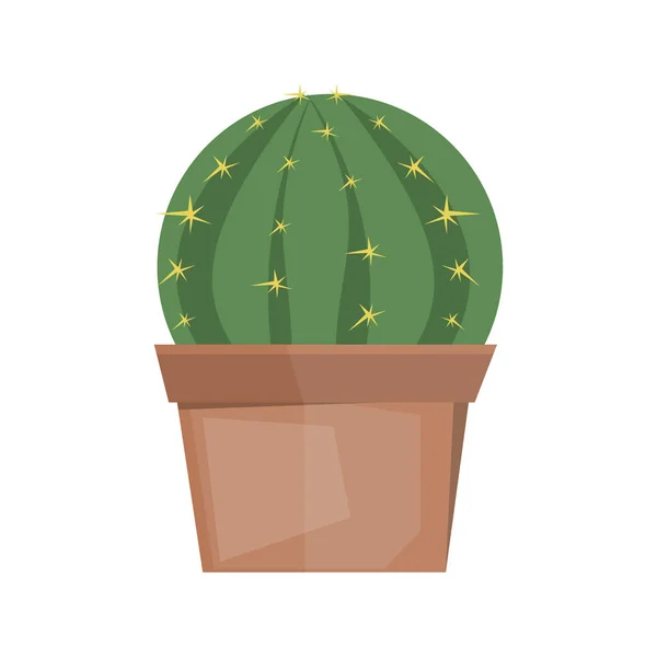 Cactus vector de planta del desierto . — Vector de stock