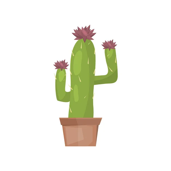 Cactus vector de planta del desierto . — Vector de stock