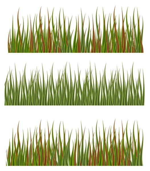 Zöld fű határok meghatározott természet füves rét tavaszi vektoros illusztráció. — Stock Vector