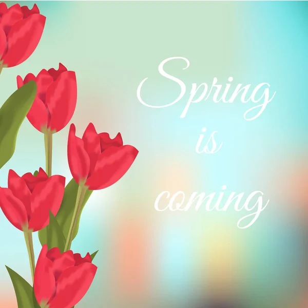 Texto de primavera com tulipas vermelhas buquê de flores . — Vetor de Stock