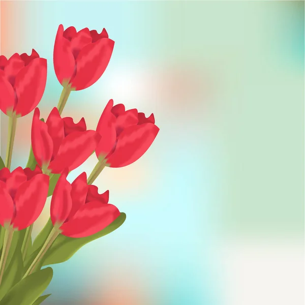 Frühling Text mit roten Tulpen Blumenstrauß. — Stockvektor