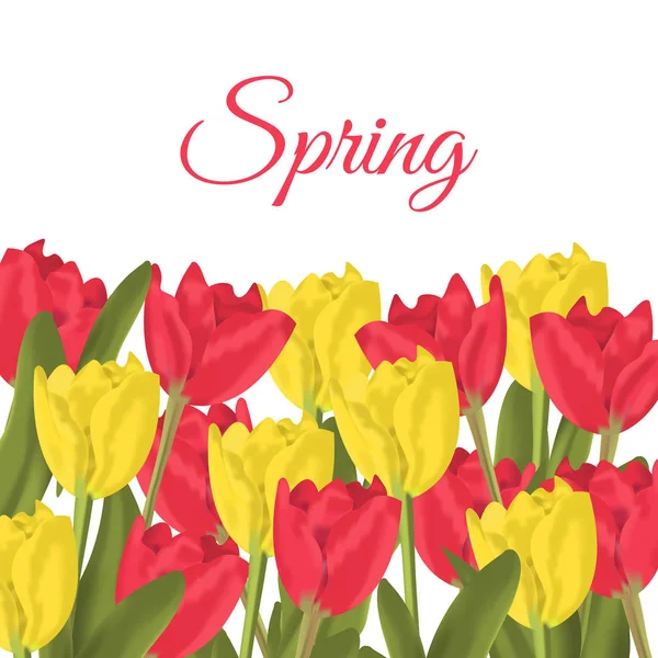 Texto de primavera com tulipas vermelhas buquê de flores . — Fotografia de Stock
