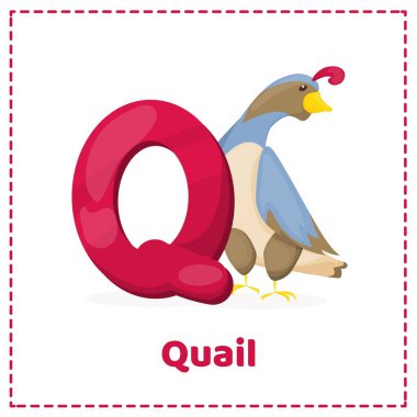 Q harfli alfabe yazdırılabilir bilgi kartı vektörü.