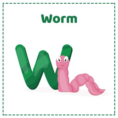 W harfli alfabe yazdırılabilir bilgi kartı vektörü.