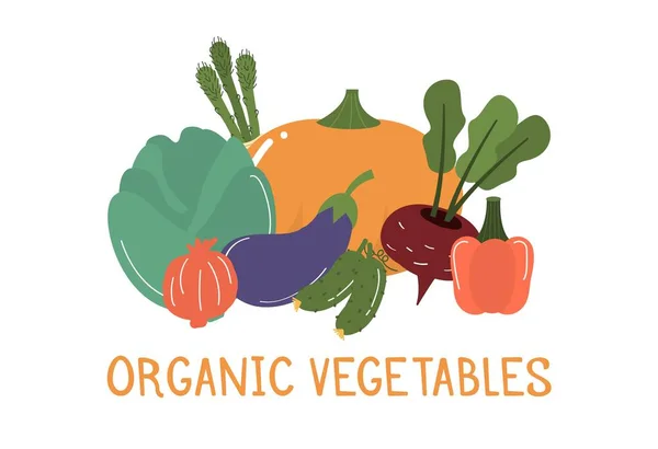 Meyveler Sebzeler Vektör Illüstrasyonları Elle Çizilmiş Organik Sağlıklı Yiyecekler Taze — Stok Vektör