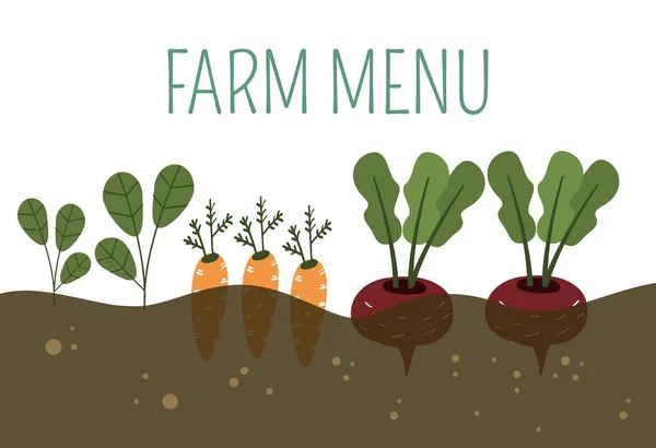 Фермерские Овощи Векторной Иллюстрации Рисует Органическую Векторную Здоровую Пищу Естественное — стоковый вектор