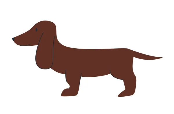 Cão Dachshund Bonito Animal Engraçado Dos Desenhos Animados Personagem Cachorro — Vetor de Stock