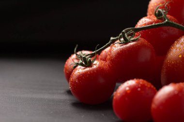 Siyah arka planda taze otlu taze domates.