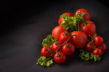 Siyah arka planda taze otlu taze domates..