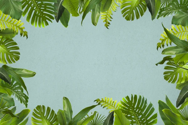 Tropical Leaves Background — Stock Photo, Image