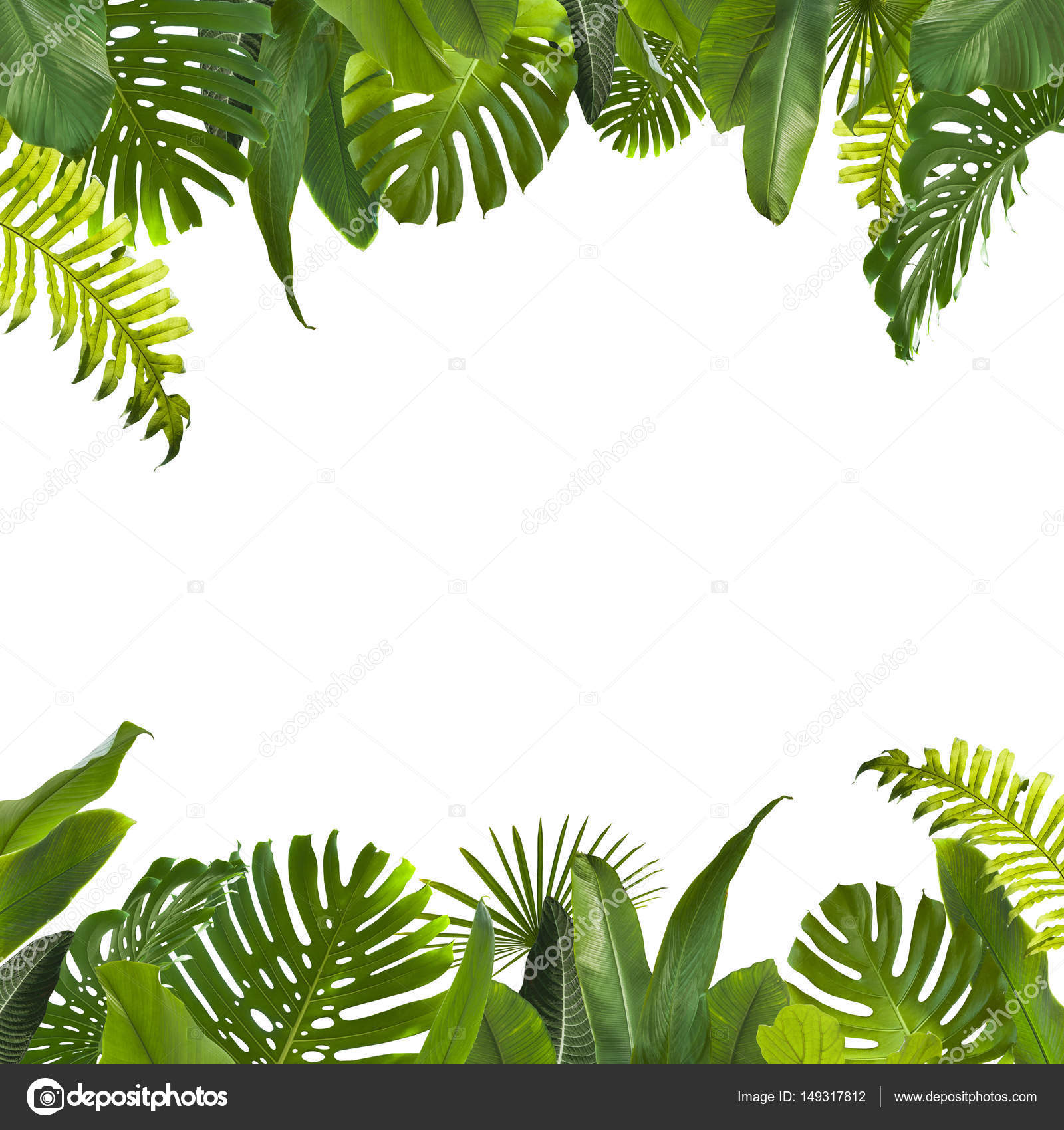 Download Tropical Jungle Leaves Background — Stock Photo © piolka ...
