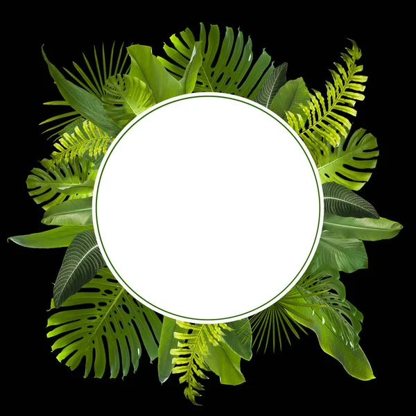 Tropical Jungle Leaves Background