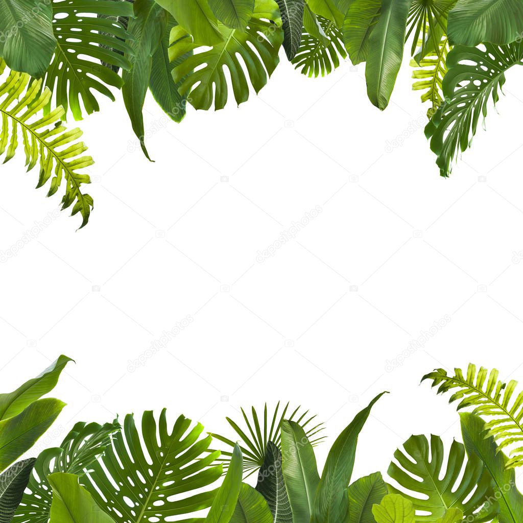 Tropical Jungle Leaves Background — 스톡 사진 © piolka #149317812