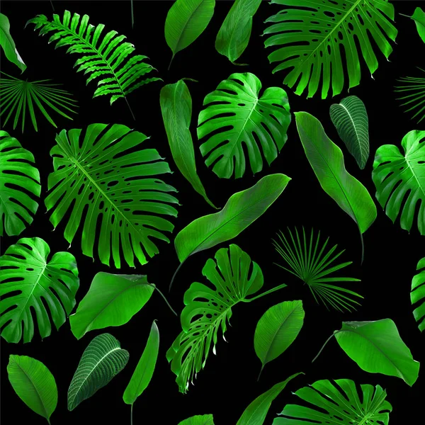 Seamless Tropical Jungle Leaves Pattern — Stock Photo, Image