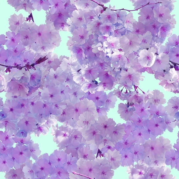 Varrat nélküli mintát cherry Blossoms — Stock Fotó