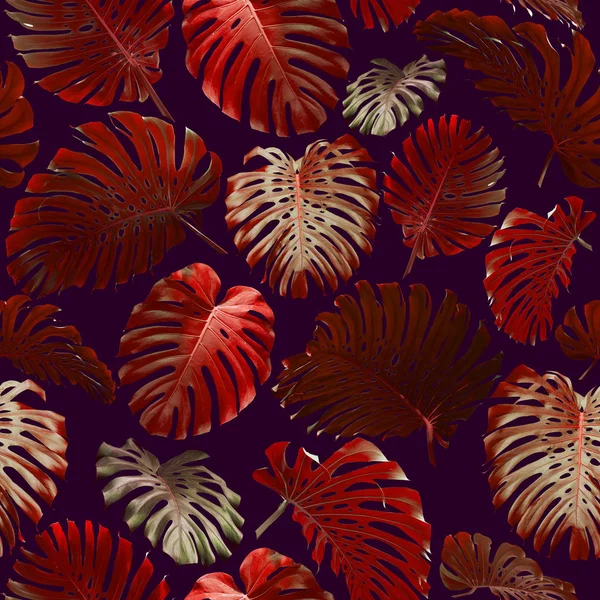 Seamless Tropical Jungle Leaves Pattern — Stock Photo, Image