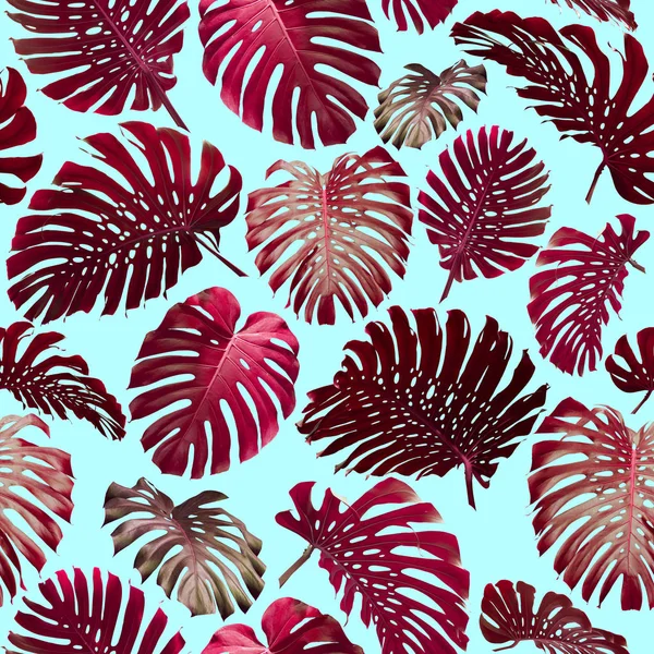 Nahtlose tropische Dschungel Blätter Muster — Stockfoto