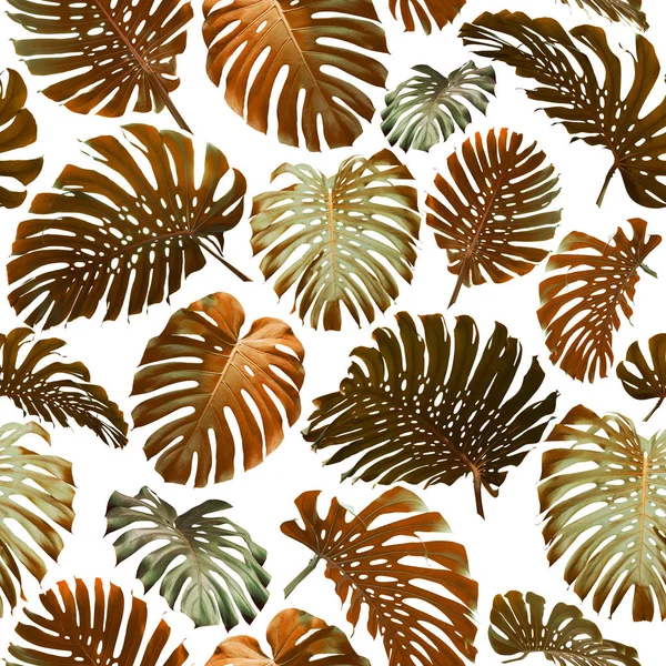완벽 한 열 대 정글 잎 패턴 — 스톡 사진