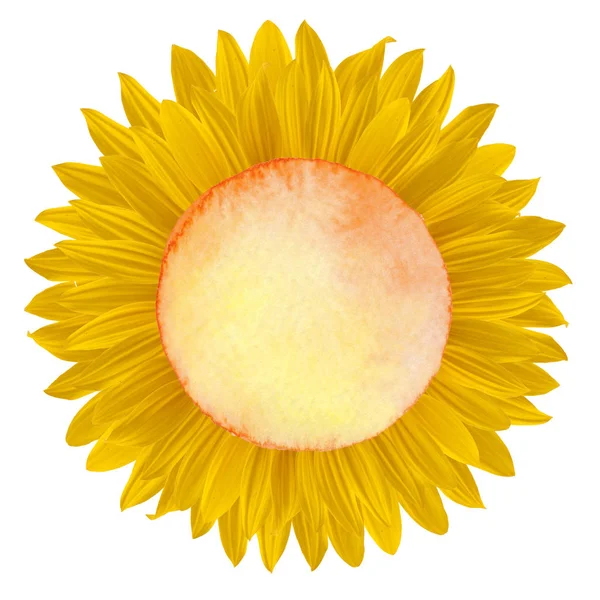 renkli çiçek etiket arka plan metin için 