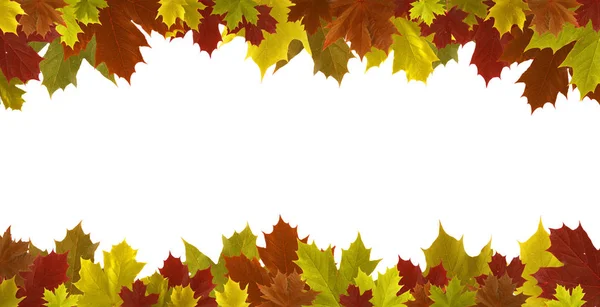 Herfstbladeren grens geïsoleerd — Stockfoto