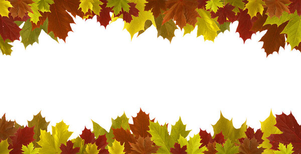 Autumn leaves border isolated 