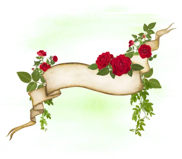 Fond rose romantique avec bannière et belles roses — Photo