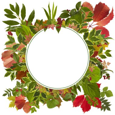 arka plan çok güzel sonbahar yaprakları