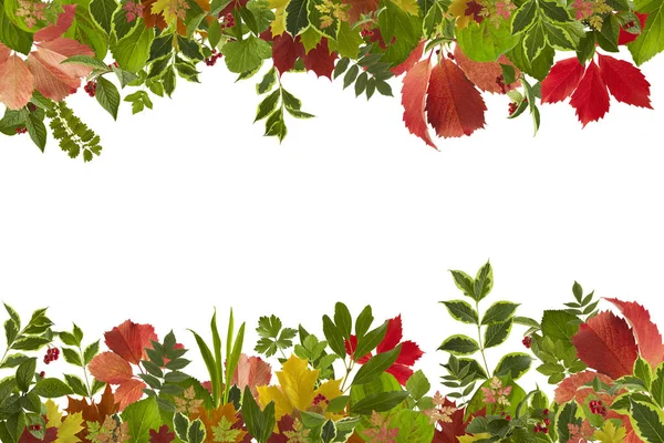 Adorável outono folhas fundo — Fotografia de Stock