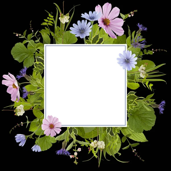 Adorável flor prado fundo — Fotografia de Stock