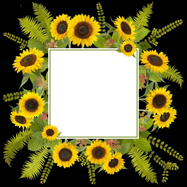 Słonecznik tło z paproci i liści — Zdjęcie stockowe