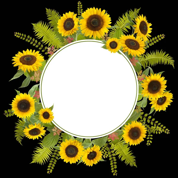 Чарівний соняшниковий фон з папороті та листям — стокове фото